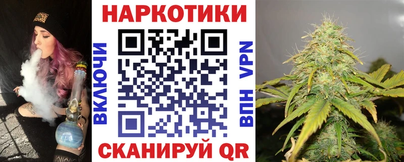 Купить Североморск СК Конопля