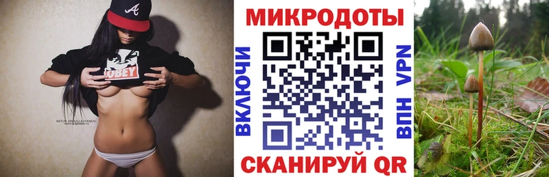 Галлюциногенные грибы мухоморы  Североморск 