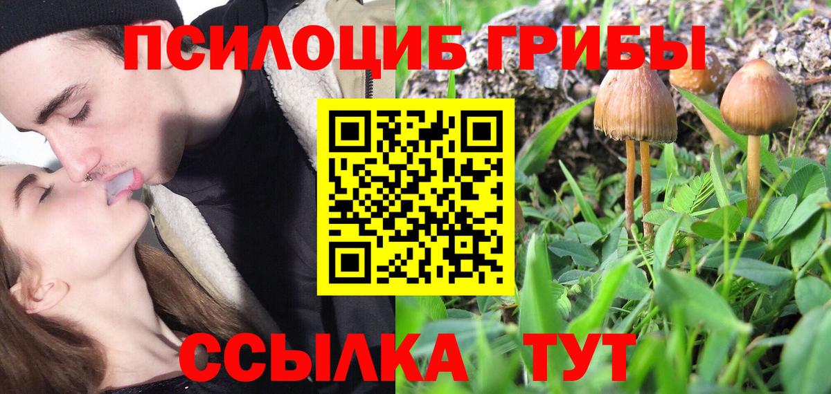 Псилоцибиновые грибы мицелий  Галлюциногенные грибы Psilocybine cubensis  Вход с VPN  что такое   Североморск 